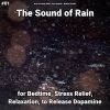 Download track Soothing Sounds To Fall Asleep