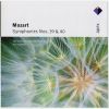 Download track Symphony No. 40 In G Minor, K. 550 - I. Molto Allegro
