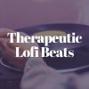 Download track Soft Funky Beat