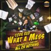 Download track What A Mess