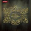 Download track Thrashard In The Cave (Stage2)