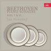 Download track Piano Sonata No. 15 In D Major, Op. 28 IV. Rondo. Allegro Ma Non Troppo