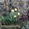 Download track The Lonely Sea