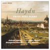 Download track Piano Trio In D Major, Hob. XV: 16: I. Allegro
