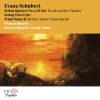 Download track String Trio In B-Flat Major, D. 591: II. Andante