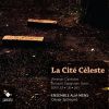 Download track 08. Gleichwie Der Regen Und Schnee Vom Himmel Fällt, BWV 18 I. Sinfonia