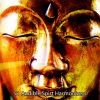 Download track Zen Desires