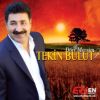 Download track Sefil Baykuş