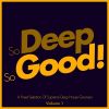 Download track Wake Up Early In The Morning (Buddah Beach Mix)
