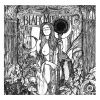Download track From The Woods