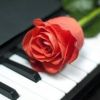 Download track I Just Can't Stop Loving You