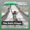 Download track Fast-Paced Rain