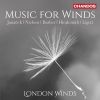 Download track 12. Nielsen: Quintet Op. 43 - III. Variation 1