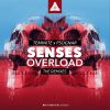 Download track Senses Overload (Hare5 Remix)