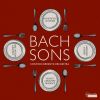 Download track 02. Sinfonia In G Minor, W. C 12 II. Andante Più Tosto Adagio
