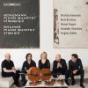 Download track Piano Quintet In F Minor, Op. 34: IV. Finale. Poco Sostenuto-Allegro Non Troppo