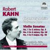 Download track Violin Sonata N° 2 In A Minor, Op. 26 (1896): I. Allegro -