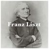 Download track Liszt: Schlaflos! Frage Und Antwort, S. 203
