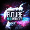 Download track Black Orchid (Original Mix)