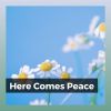 Download track Relaxing Walk