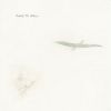 Download track Big River Man