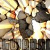 Download track Sekma _ Lydson _ No Fini _ Megawatt - Part 2 (3)