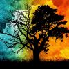 Download track Dawn (Orchestral Intro)