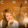 Download track Cello Concerto No. 1 In C Major, Hob. VIIb: 1: I. Moderato
