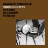 Download track String Quintet No. 2 In G Major, Op. 111- No. 3, Un Poco Allegretto