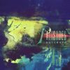 Download track The Arctic