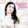 Download track Ah Neyleyim Gönül Senin Elinden