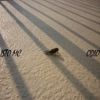 Download track Odio