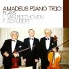 Download track Piano Trio No. 2 In E Flat Major, Op. 100 D 929 Scherzando Allegro Moderato