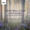 Download track Spring Rain