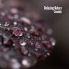 Download track Snowing