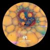 Download track Singular Language (Syep030)