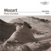 Download track II. Rondeau En Polonaise. Andante