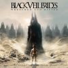 Download track Devil'S Choir