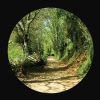 Download track Just A Little While