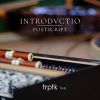 Download track Sonata For Violoncello And Basso Continuo In D Major, TWV 41 D6 IV. Allegro (Live)