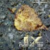 Download track Love Ain'T