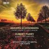 Download track 04. Piano Quartet No. 1 In G Minor - IV. Rondo Alla Zingarese. Presto