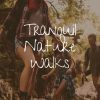 Download track Rain And Trees