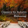 Download track No. 5 (Op. Posth.) In D Minor
