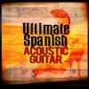 Download track Spanish Flare