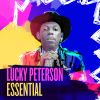 Download track Don't Try To Explain