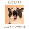 Download track Horn Concerto No. 1 In D Major, K. 386b (K. 412 & 514) I. Allegro
