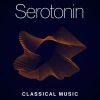 Download track Serenade In E Minor For Strings, Op. 20 I. Allegro Piacevole