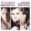 Download track Piano Trio No. 2 In E Flat Major D. 929- I. Allegro