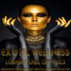 Download track Tchailkovsky - Swan Lake - Le Lac Des Cygnes - II Lago Dei Cigni - Lounge Version
